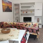 Rent 2 bedroom apartment of 44 m² in Roma