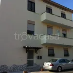 Rent 3 bedroom apartment of 80 m² in Anzio