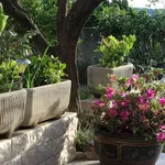 Rent 1 bedroom apartment of 24 m² in Saint-Paul-de-Vence