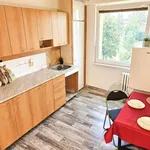 Rent 3 bedroom apartment of 66 m² in Nový Jičín