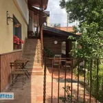 Studio of 50 m² in Mascalucia