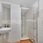 Rent 1 bedroom apartment in Zlín