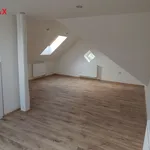 Rent 2 bedroom apartment of 56 m² in Rakovník