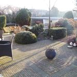 Rent 1 bedroom house of 15 m² in Dorp Noord