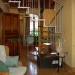 Rent 15 bedroom apartment of 350 m² in Orbetello (Gr)