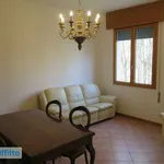 Rent 4 bedroom apartment of 90 m² in Bologna