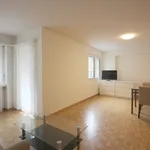 Rent 1 bedroom apartment of 323 m² in Zurich