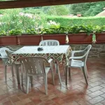 Rent 2 bedroom house of 45 m² in Vicchio