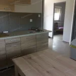 Rent 1 bedroom house of 48 m² in Kecskemét