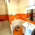 Rent 1 bedroom apartment of 37 m² in Trhový Štěpánov