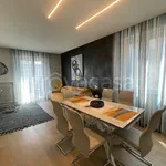 Rent 4 bedroom apartment of 90 m² in Modena