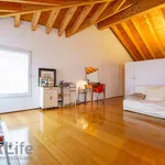 Rent 1 bedroom apartment of 124 m² in Vicenza