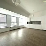 Rent 1 bedroom apartment of 42 m² in Zlín