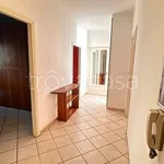 Rent 3 bedroom apartment of 79 m² in Turin