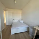 Rent 1 bedroom apartment in Gent