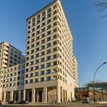 Rent 1 bedroom apartment of 33 m² in Berlin