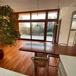 Rent 5 bedroom house of 255 m² in City of Zagreb