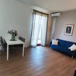 Rent 3 bedroom apartment of 90 m² in Pisa