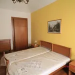 Rent 2 bedroom apartment of 53 m² in Torino