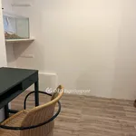 Rent 2 bedroom apartment in Budapest