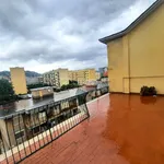 Rent 2 bedroom apartment of 60 m² in Naples