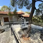 Rent 3 bedroom house of 85 m² in Νησί