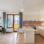 Rent 4 bedroom apartment of 1 m² in Prague