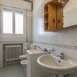 Rent a room in bologna