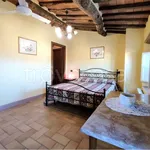 Rent 3 bedroom apartment of 75 m² in Capannori