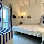 Rent 4 bedroom apartment of 80 m² in Pietrasanta