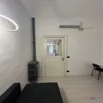 Rent 1 bedroom apartment of 50 m² in torino