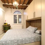 Rent 1 bedroom apartment of 28 m² in Siena