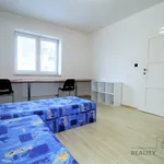 Rent 1 bedroom apartment in Brno