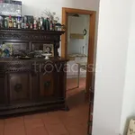 Rent 3 bedroom apartment of 50 m² in Nettuno