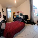 Rent 3 bedroom apartment of 85 m² in Bologna