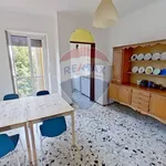 Rent 4 bedroom apartment of 100 m² in Turin