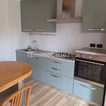 Rent 2 bedroom apartment of 70 m² in Bologna