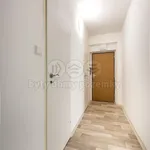 Rent 1 bedroom apartment of 29 m² in Ústí nad Labem