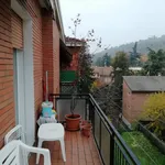 Rent 1 bedroom apartment of 80 m² in bologna