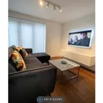 Rent 1 bedroom apartment in East Of England