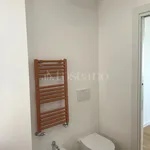 Rent 3 bedroom apartment of 60 m² in Roma