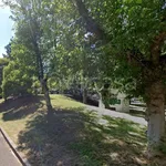 Rent 3 bedroom apartment of 78 m² in Cesena