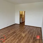 Pronajměte si 1 ložnic/e byt o rozloze 27 m² v Litvínov