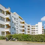 Rent 3 bedroom apartment of 63 m² in Berlin