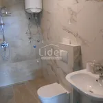 Rent 1 bedroom apartment of 30 m² in Grad Kastav