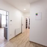 Rent 2 bedroom apartment in Třebíč