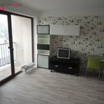 Rent 1 bedroom apartment of 346 m² in Brno