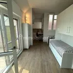 Rent 3 bedroom apartment of 40 m² in Turin