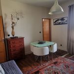 Rent 2 bedroom apartment of 30 m² in OucquesT