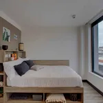 Rent 1 bedroom student apartment of 37 m² in Cork